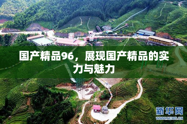 国产精品96，展现国产精品的实力与魅力