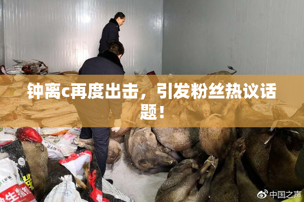 钟离c再度出击，引发粉丝热议话题！