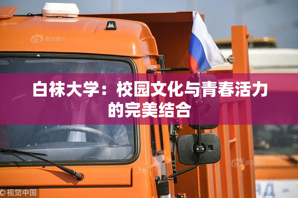 白袜大学：校园文化与青春活力的完美结合