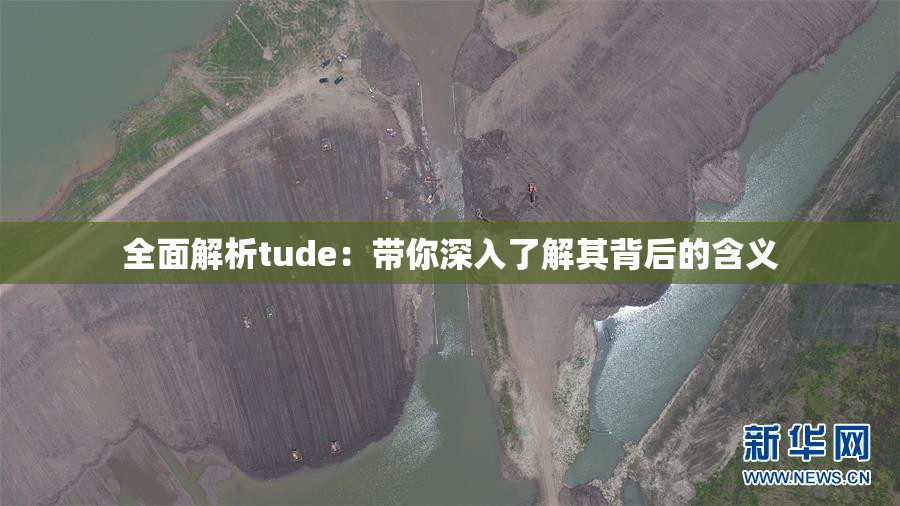 全面解析tude：带你深入了解其背后的含义