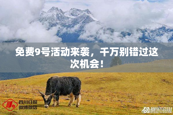 免费9号活动来袭，千万别错过这次机会！