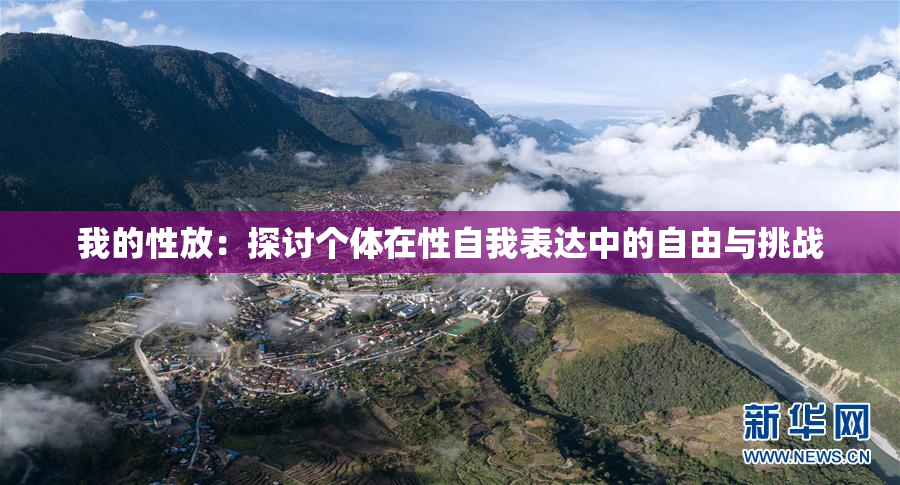 我的性放：探讨个体在性自我表达中的自由与挑战