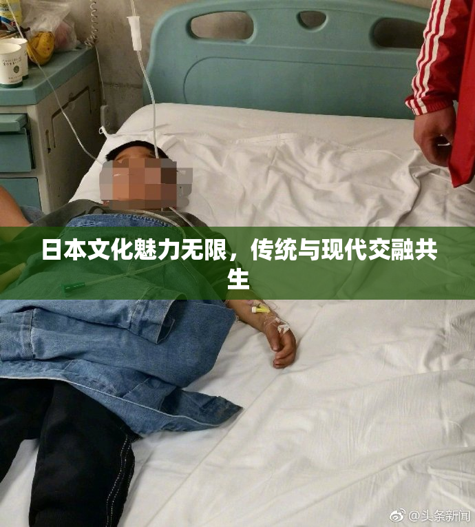 日本文化魅力无限，传统与现代交融共生