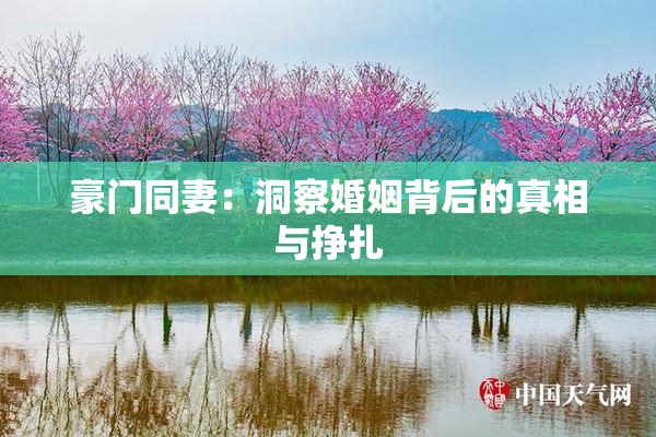 豪门同妻：洞察婚姻背后的真相与挣扎