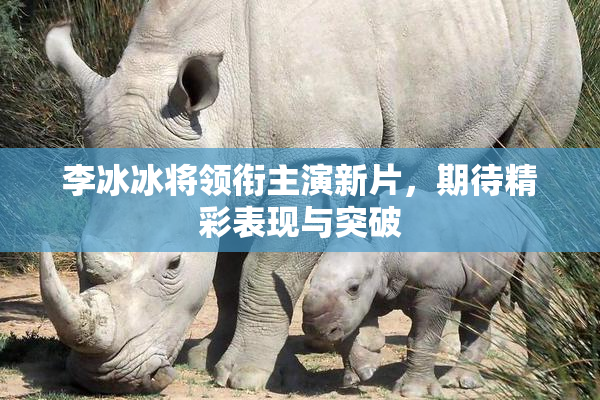 李冰冰将领衔主演新片，期待精彩表现与突破