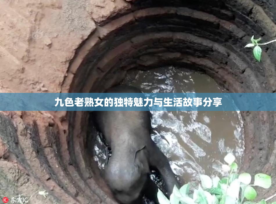 九色老熟女的独特魅力与生活故事分享