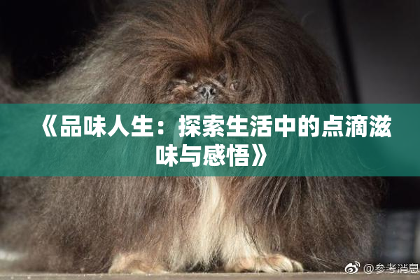 《品味人生：探索生活中的点滴滋味与感悟》