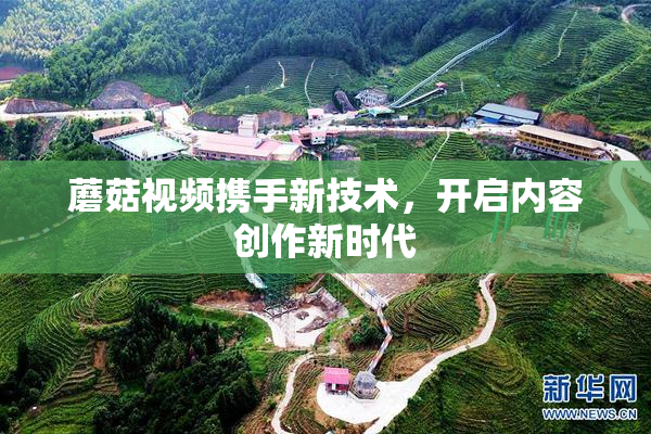 蘑菇视频携手新技术，开启内容创作新时代