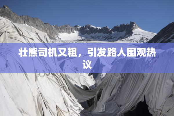 壮熊司机又粗，引发路人围观热议