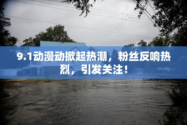 9.1动漫动掀起热潮，粉丝反响热烈，引发关注！