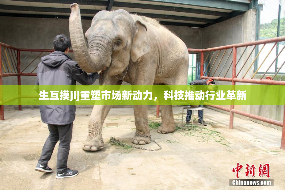 生互摸jij重塑市场新动力，科技推动行业革新