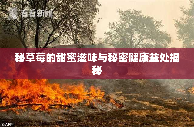 秘草莓的甜蜜滋味与秘密健康益处揭秘