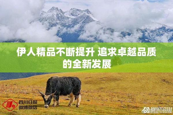 伊人精品不断提升 追求卓越品质的全新发展