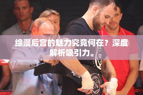 综漫后宫的魅力究竟何在？深度解析吸引力。