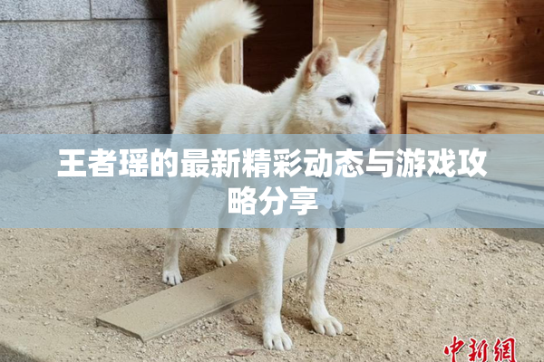 王者瑶的最新精彩动态与游戏攻略分享