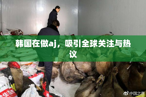 韩国在做aj，吸引全球关注与热议
