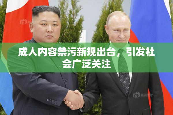 成人内容禁污新规出台，引发社会广泛关注