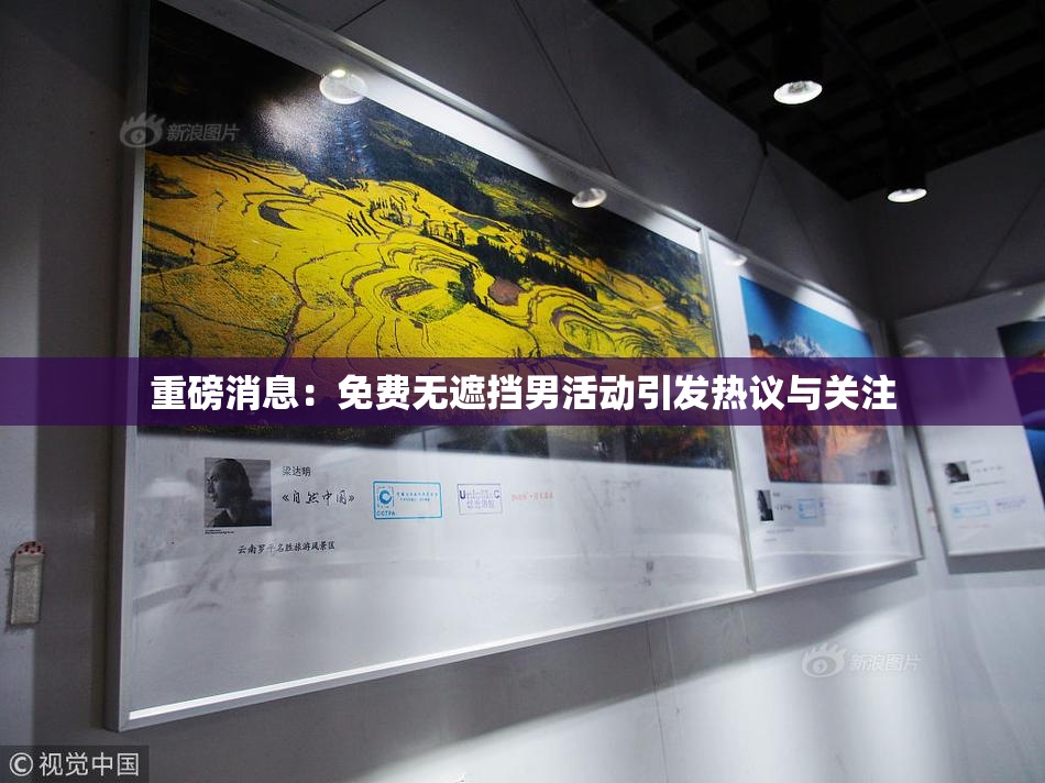重磅消息：免费无遮挡男活动引发热议与关注