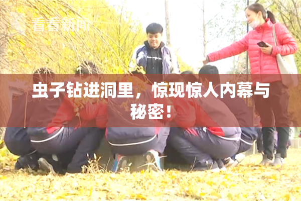 虫子钻进洞里，惊现惊人内幕与秘密！
