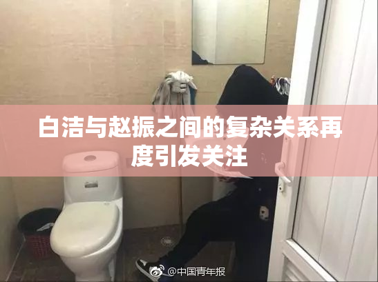 白洁与赵振之间的复杂关系再度引发关注