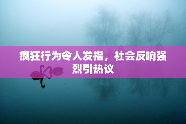 疯狂行为令人发指，社会反响强烈引热议