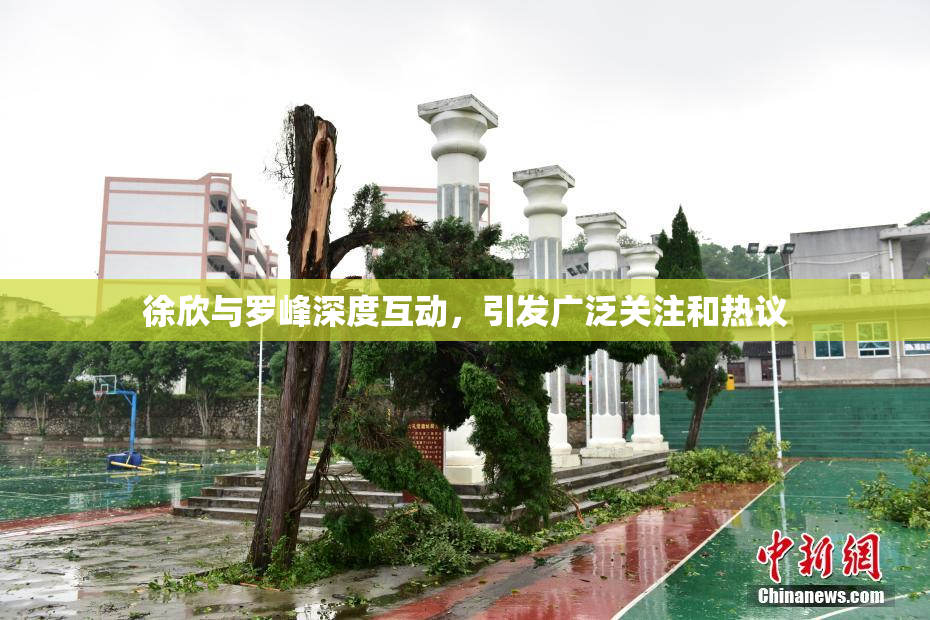 徐欣与罗峰深度互动，引发广泛关注和热议