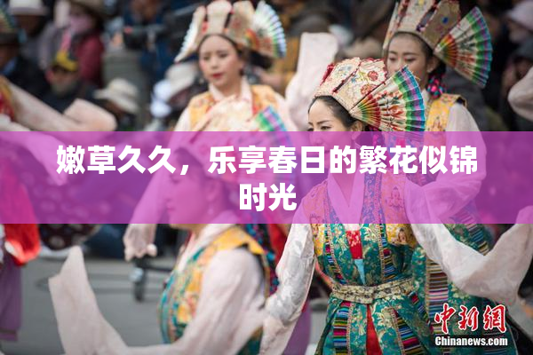 嫩草久久，乐享春日的繁花似锦时光