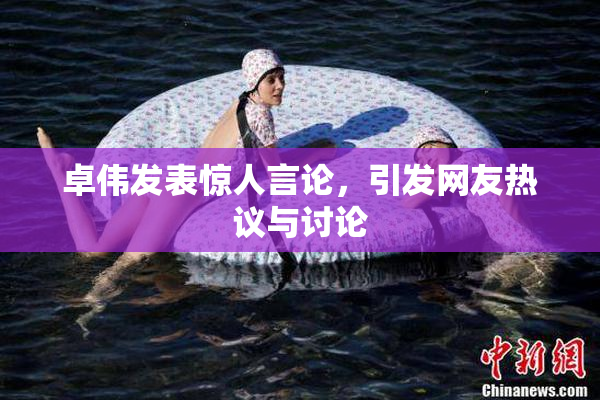 卓伟发表惊人言论，引发网友热议与讨论