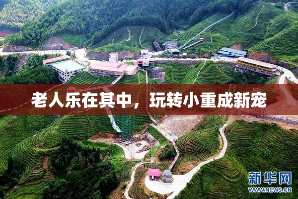 老人乐在其中，玩转小重成新宠