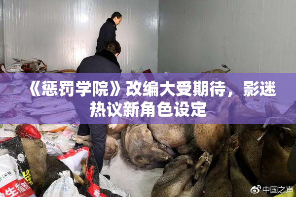 《惩罚学院》改编大受期待，影迷热议新角色设定