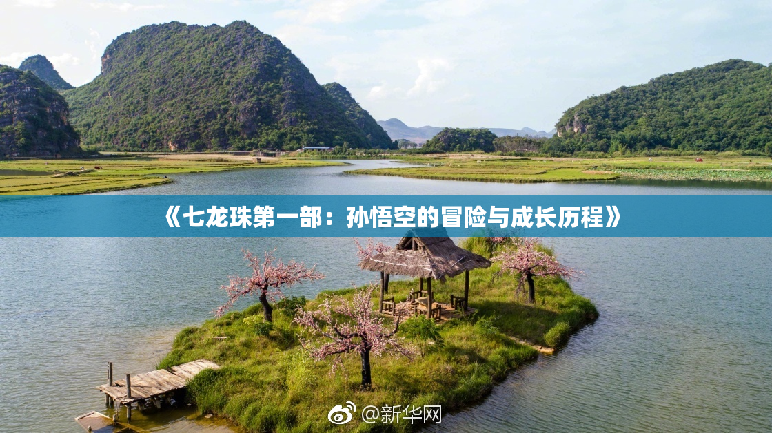 《七龙珠第一部：孙悟空的冒险与成长历程》