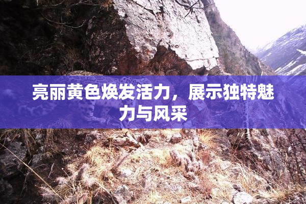 亮丽黄色焕发活力，展示独特魅力与风采
