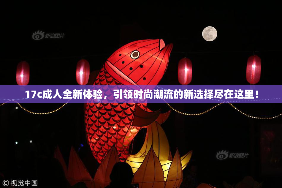 17c成人全新体验，引领时尚潮流的新选择尽在这里！