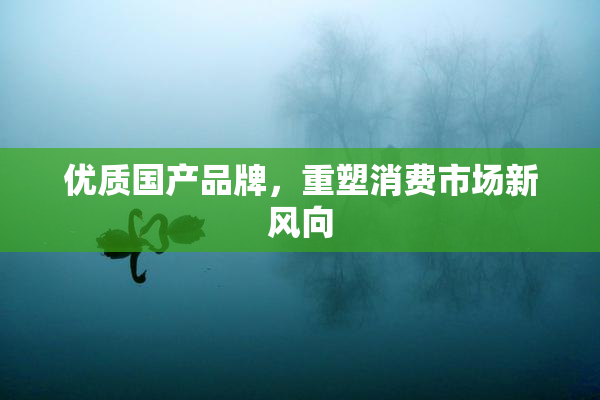 优质国产品牌，重塑消费市场新风向