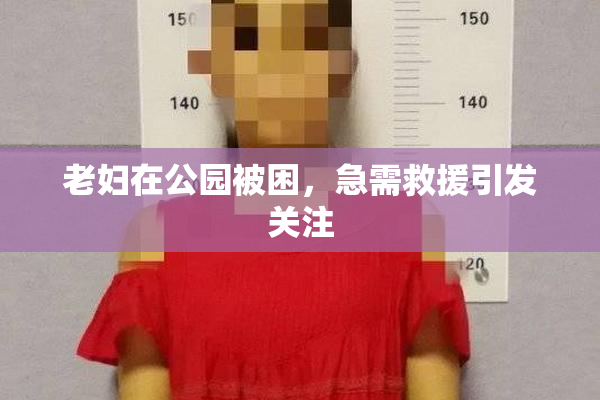 老妇在公园被困，急需救援引发关注