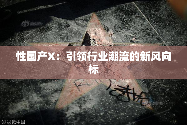 性国产X：引领行业潮流的新风向标