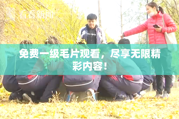 免费一级毛片观看，尽享无限精彩内容！