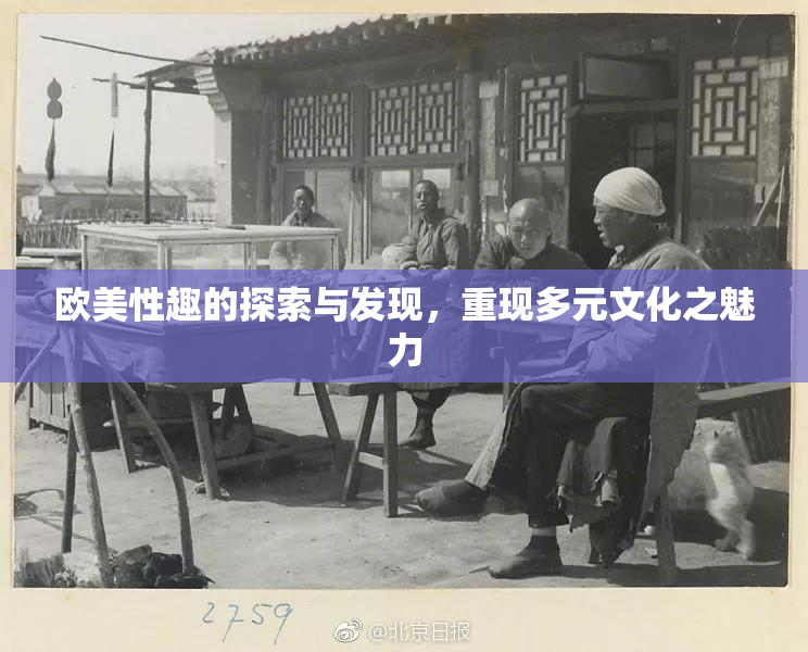 欧美性趣的探索与发现，重现多元文化之魅力