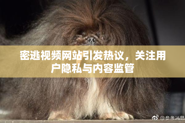 密逃视频网站引发热议，关注用户隐私与内容监管