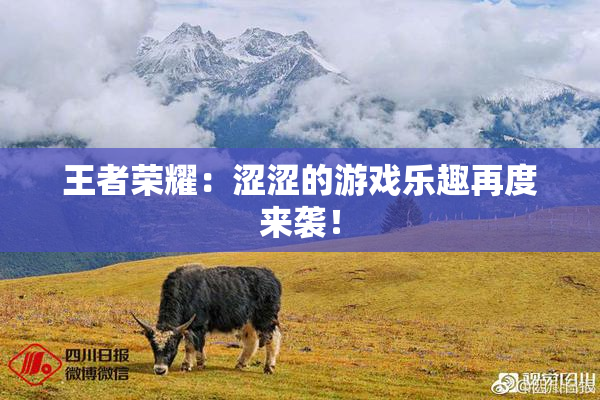 王者荣耀：涩涩的游戏乐趣再度来袭！