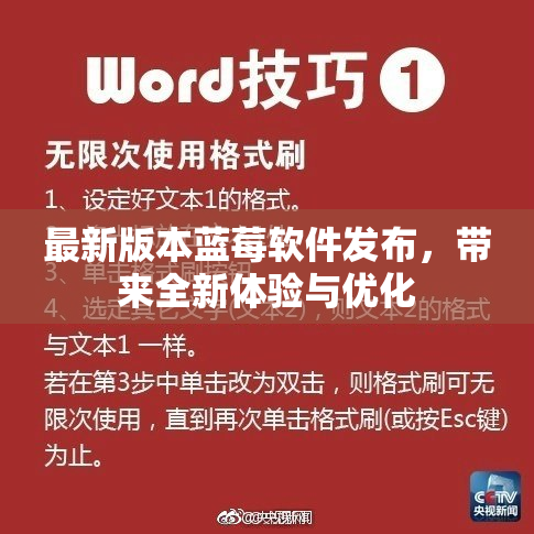 最新版本蓝莓软件发布，带来全新体验与优化