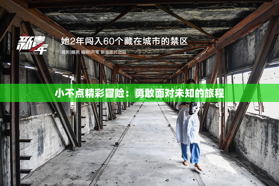 小不点精彩冒险：勇敢面对未知的旅程