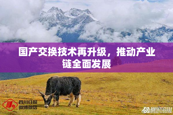 国产交换技术再升级，推动产业链全面发展