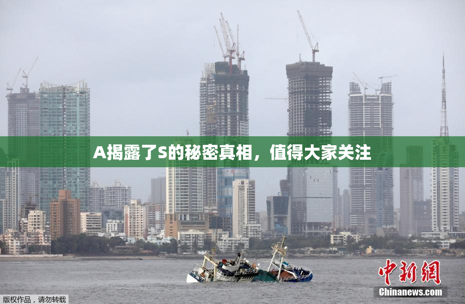 A揭露了S的秘密真相，值得大家关注