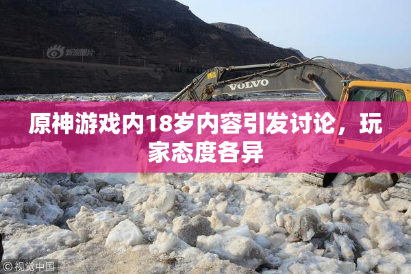 原神游戏内18岁内容引发讨论，玩家态度各异