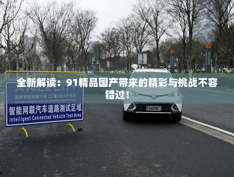 全新解读：91精品国产带来的精彩与挑战不容错过！