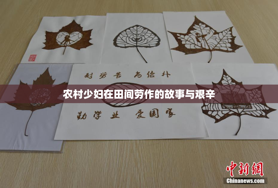 农村少妇在田间劳作的故事与艰辛
