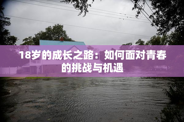 18岁的成长之路：如何面对青春的挑战与机遇