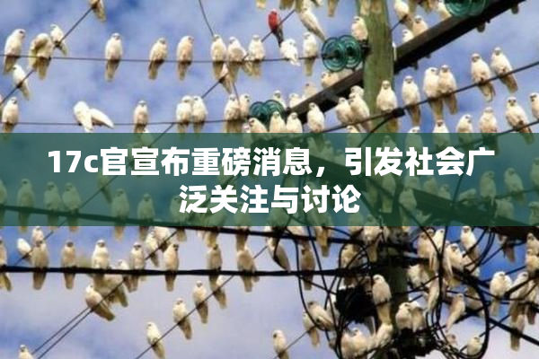 17c官宣布重磅消息，引发社会广泛关注与讨论