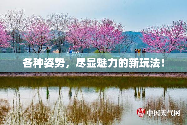 各种姿势，尽显魅力的新玩法！